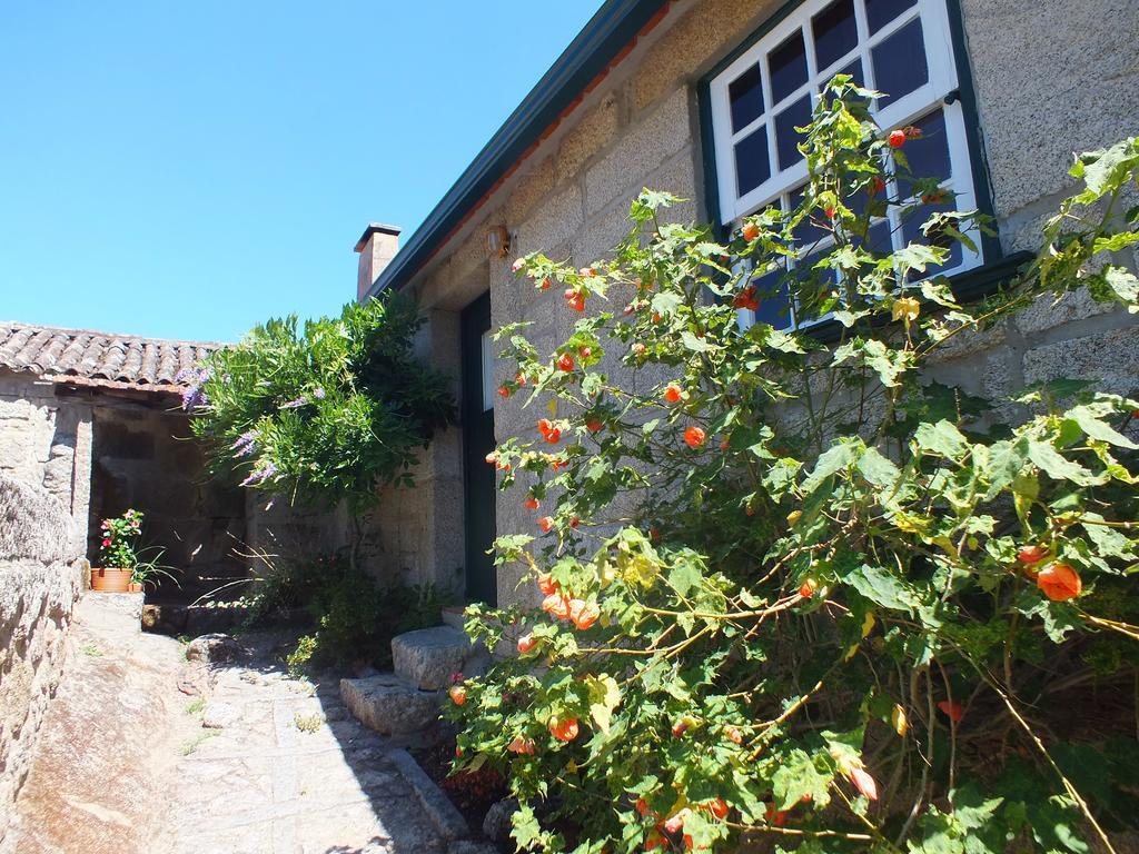 Villa Quinta Do Caritel Vouzela Zimmer foto