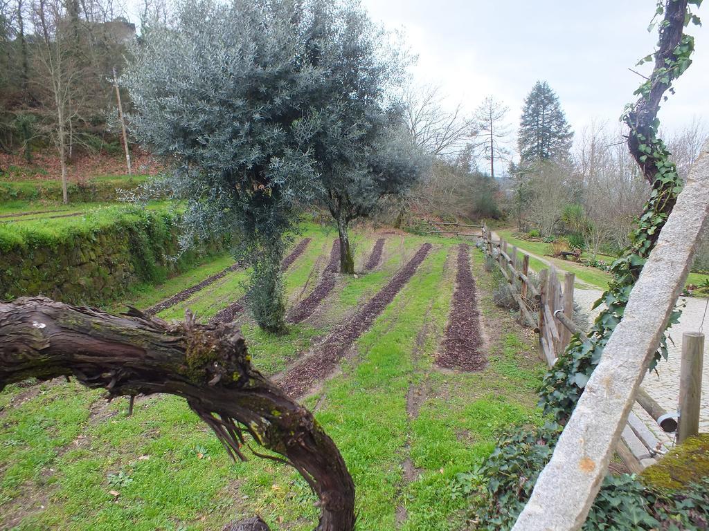 Villa Quinta Do Caritel Vouzela Zimmer foto